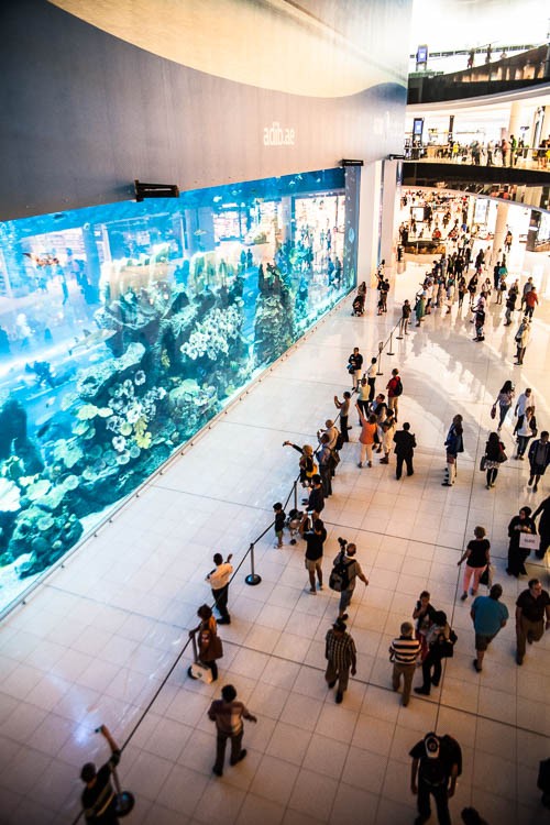 Die Dubai Mall mit dem weltgrößten Einkaufszentren-Aquarium
