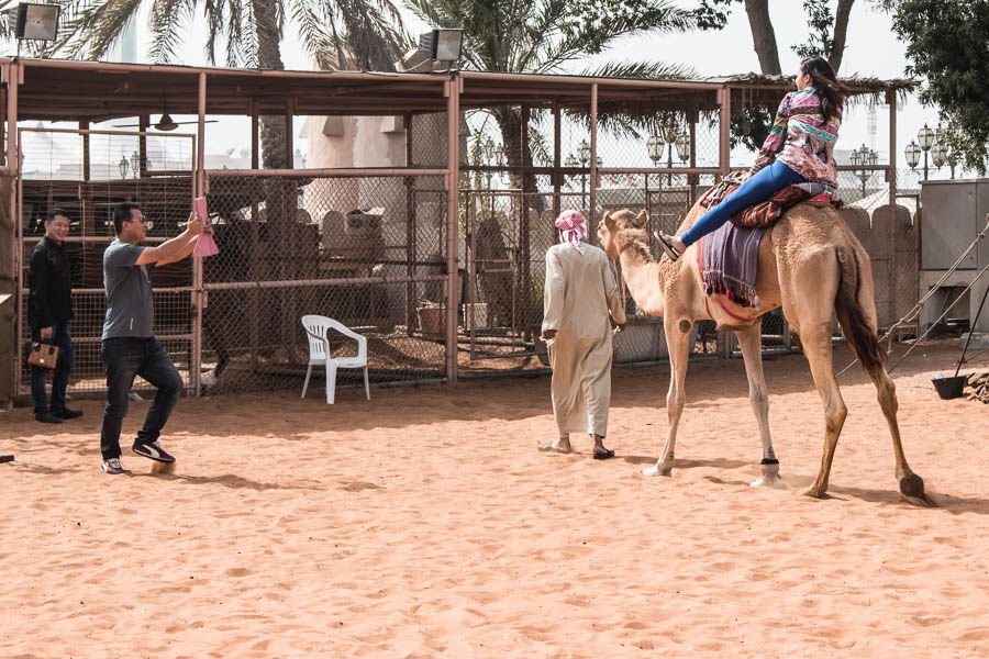 Touristen beim Kamelreiten in Abu Dhabi